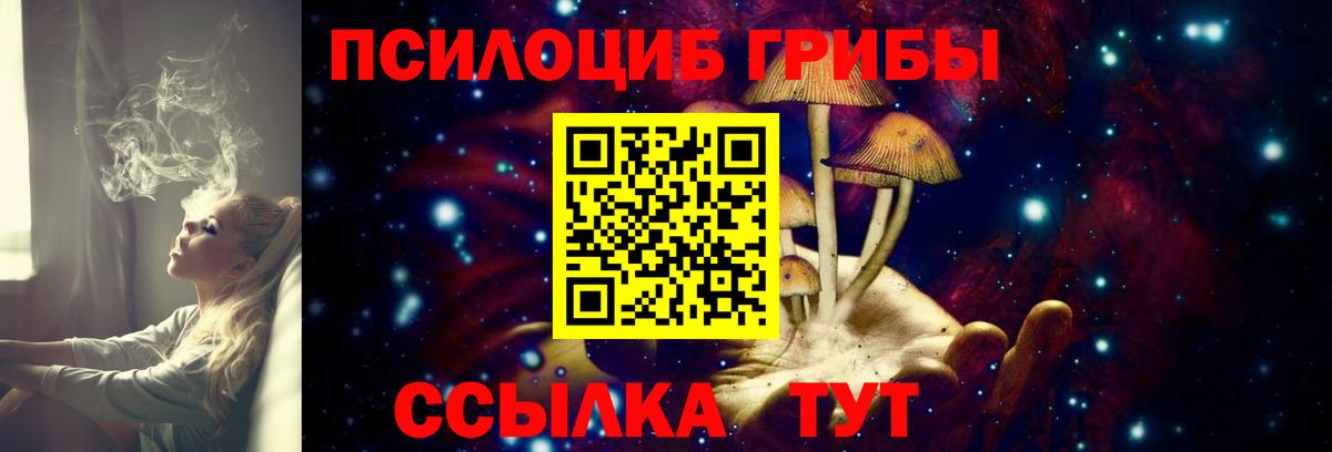 дарнет шоп  Вход с VPN  Рассказово  Галлюциногенные грибы Cubensis 